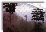 The Eden Project