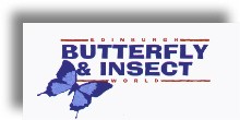 Butterfly & Insect World
