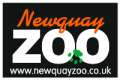 Cornwall - Newquay Zoo